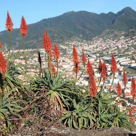 Spot Matur 아파트