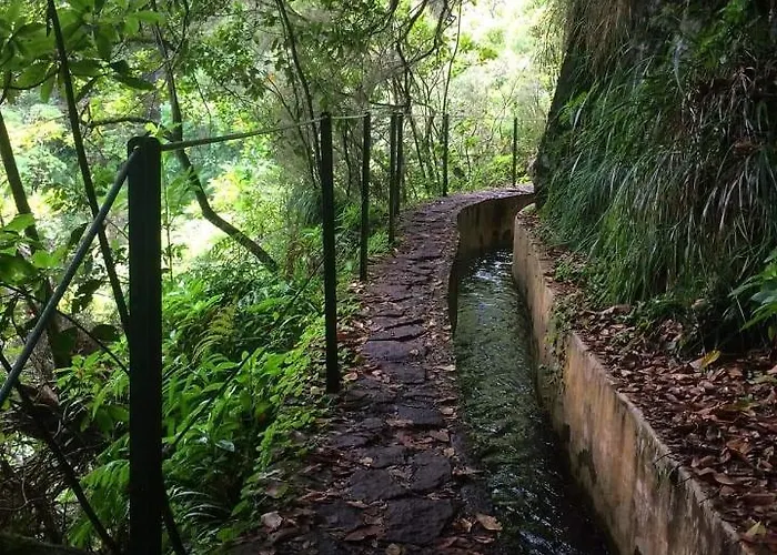 Spot Matur * Machico (Madeira)