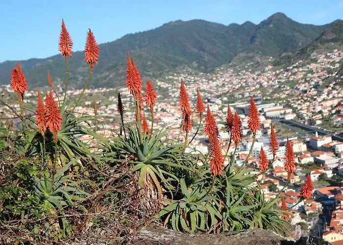 Spot Matur Lägenhet