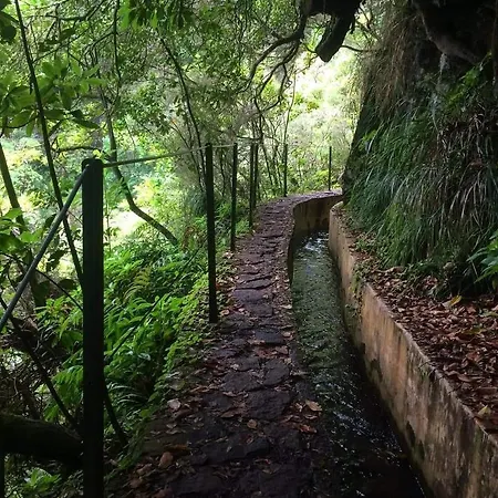 Spot Matur * Machico (Madeira)